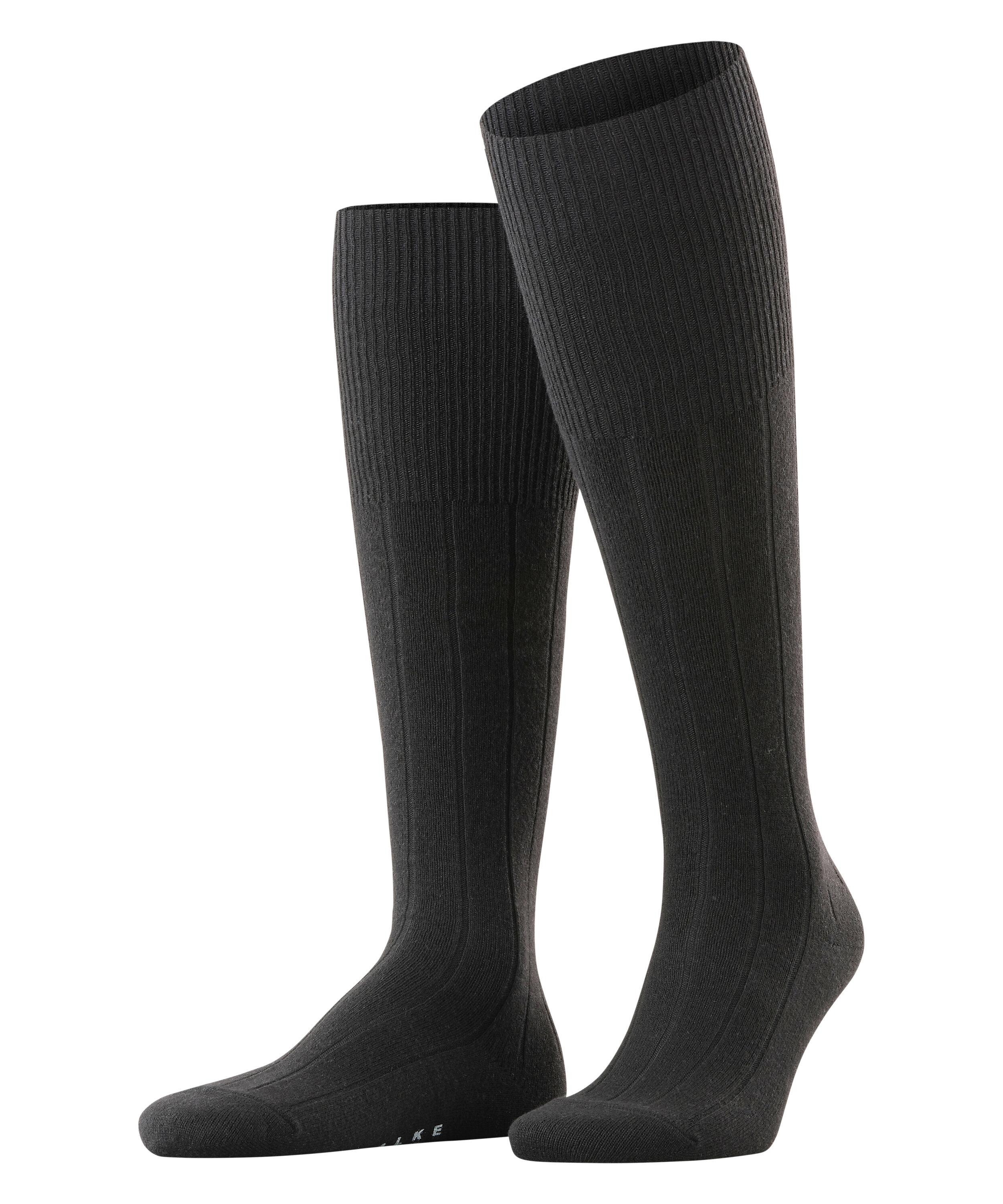FALKE Lhasa Rib Herren