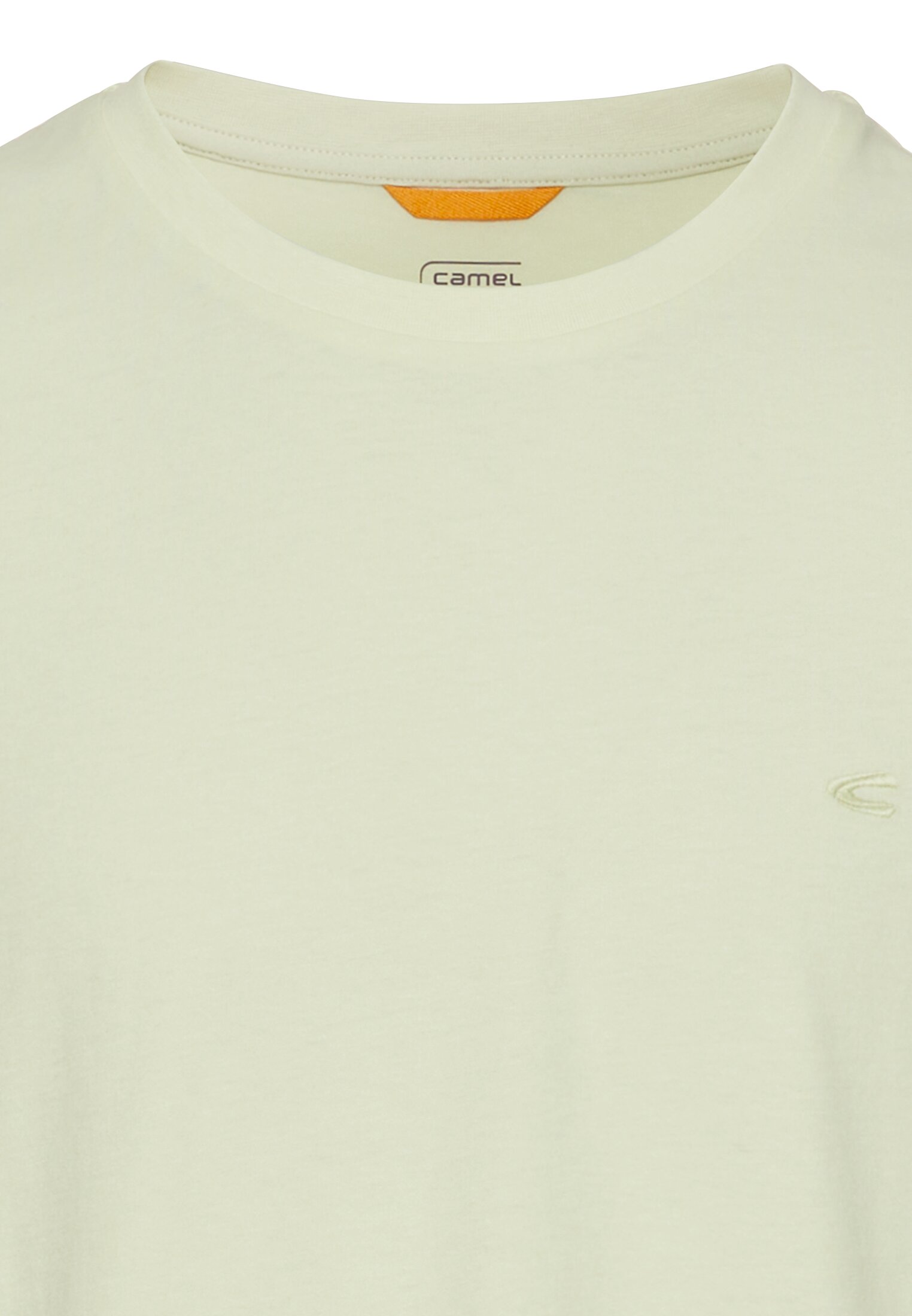 Basic T-Shirt aus reiner Baumwolle