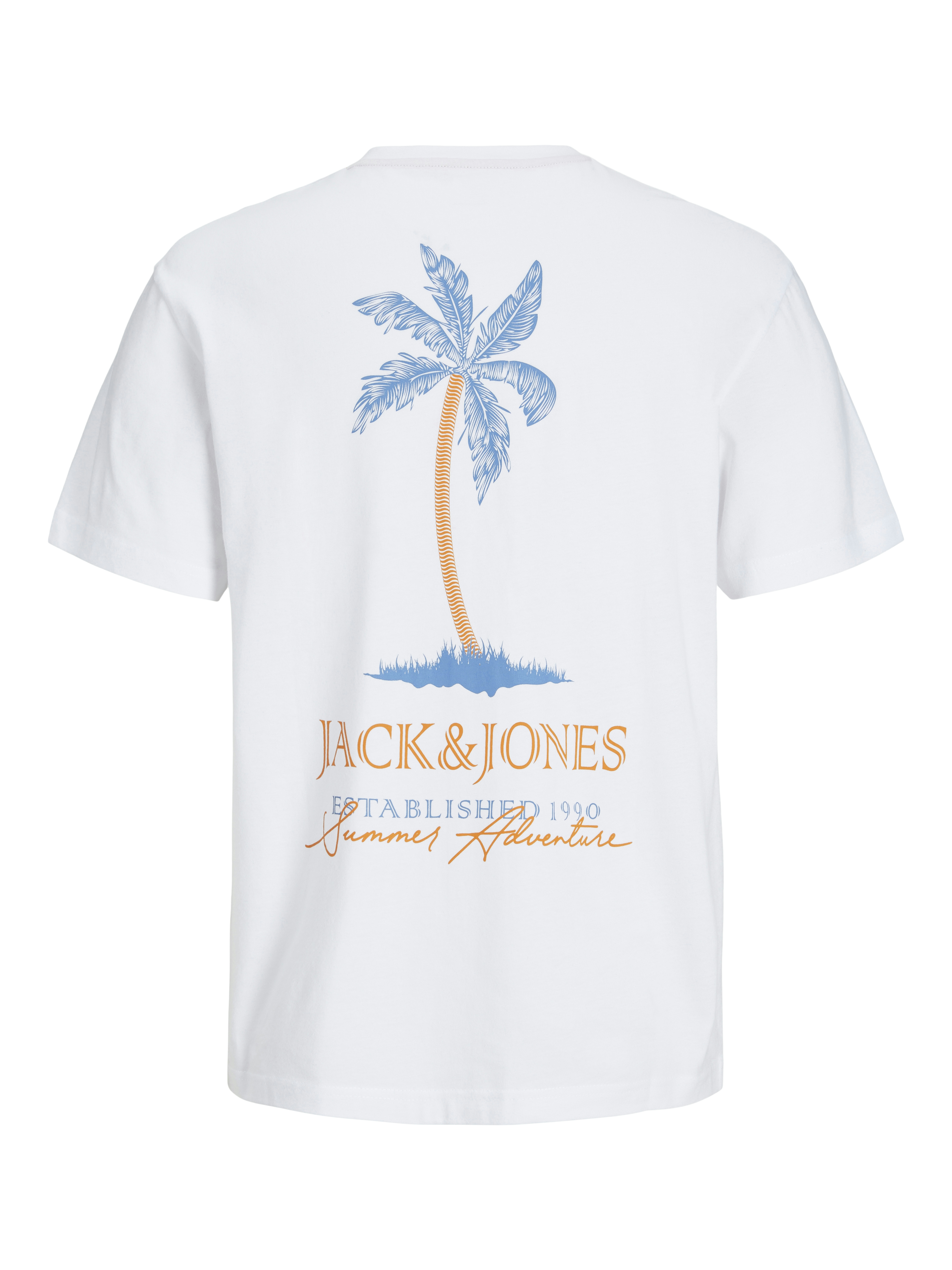 JJSUMMER VIBES TEE SS CREW NECK LN