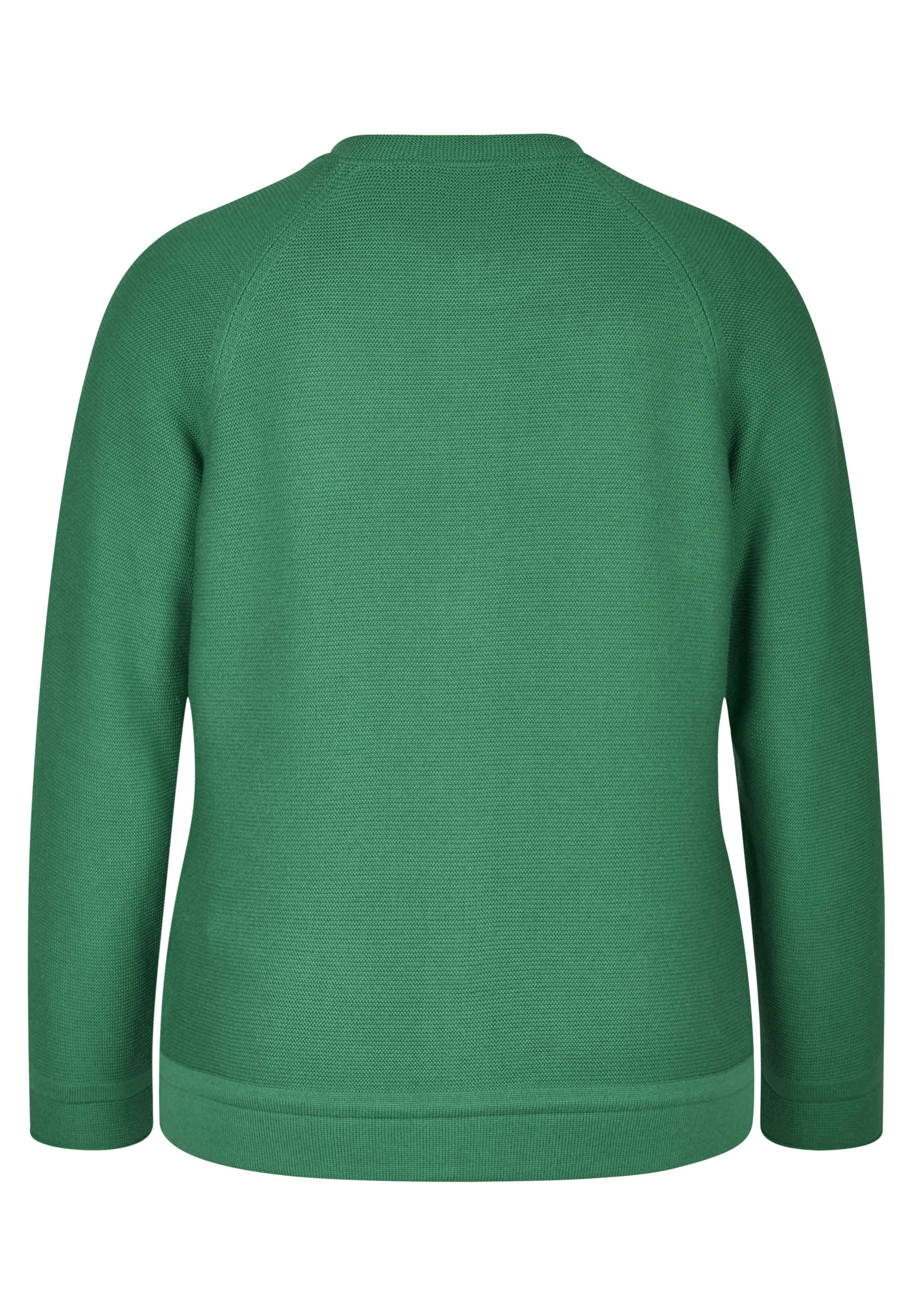 Rabe Basics