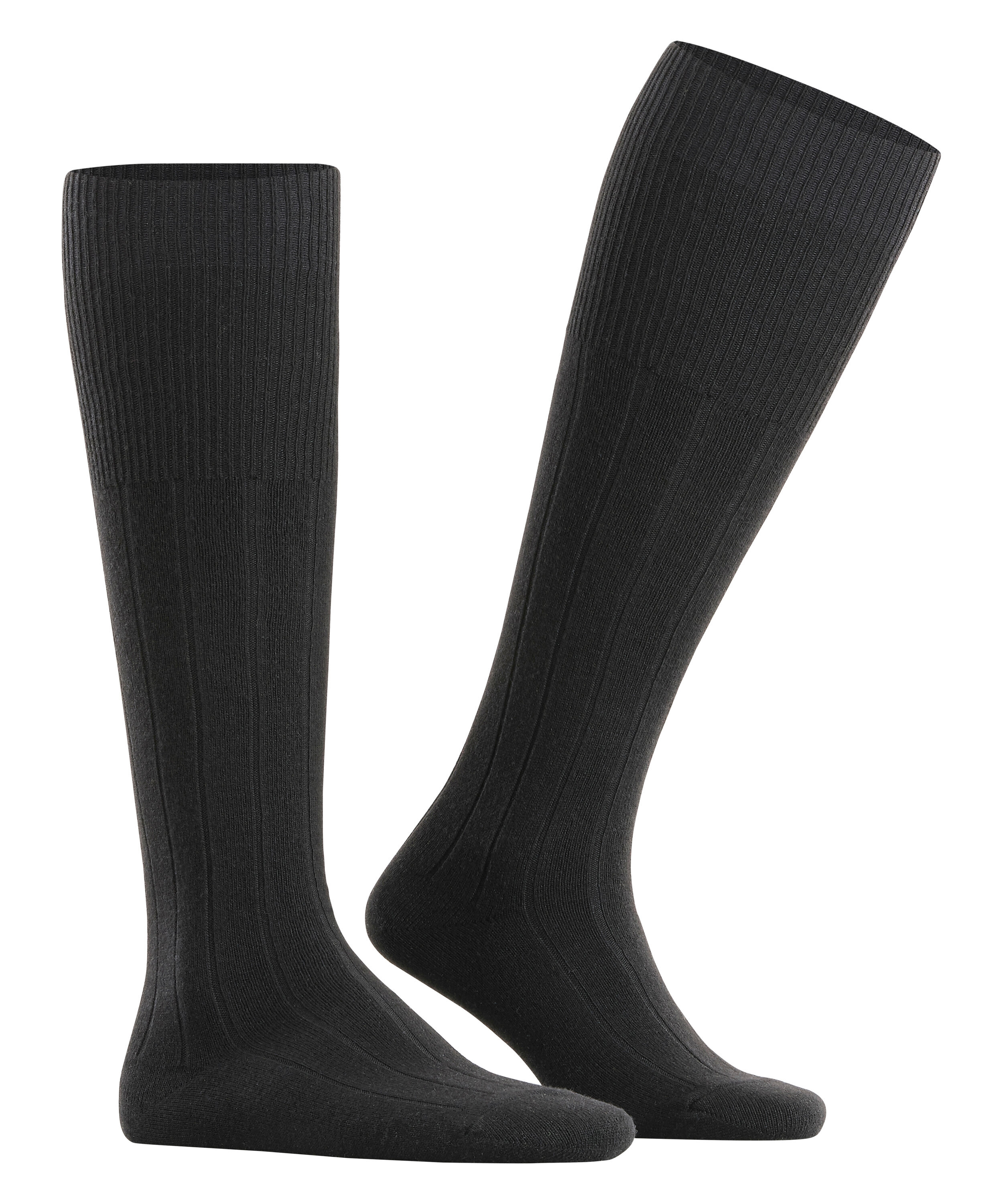 FALKE Lhasa Rib Herren