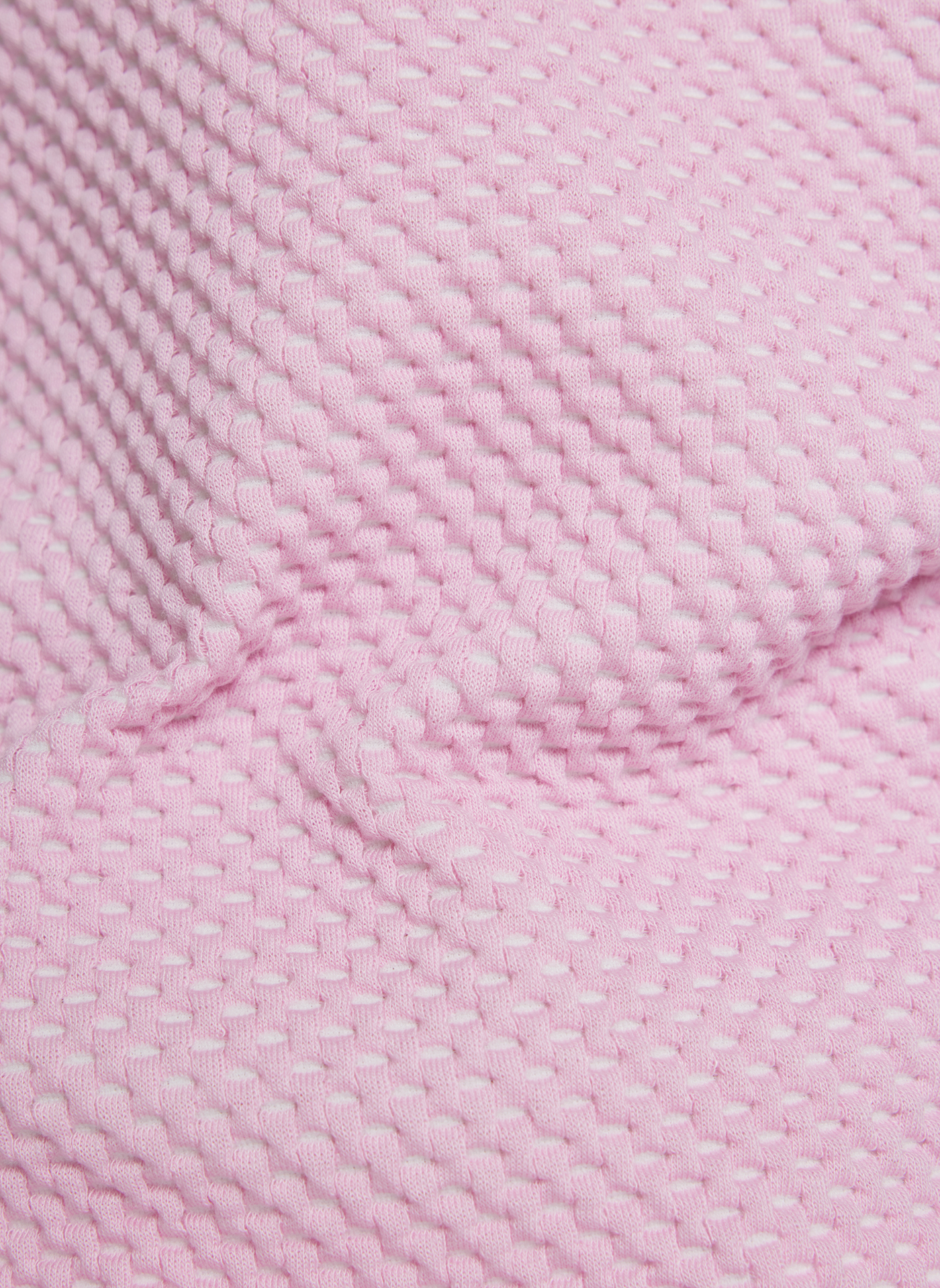 Powder Rose