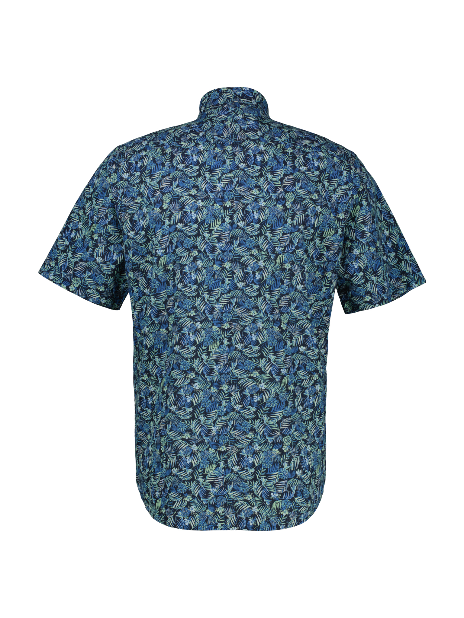 BUTTON DOWN