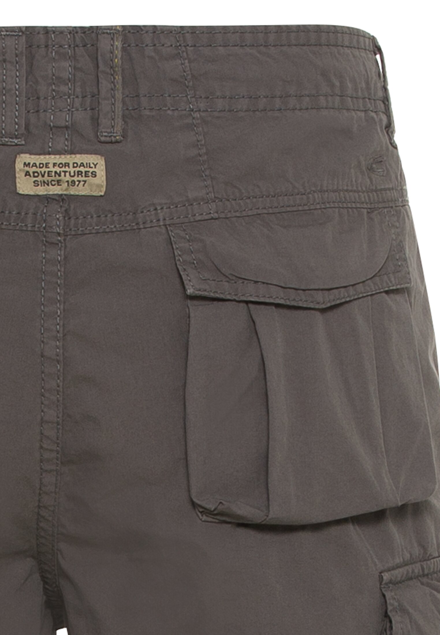 Cargo Shorts Regular Fit