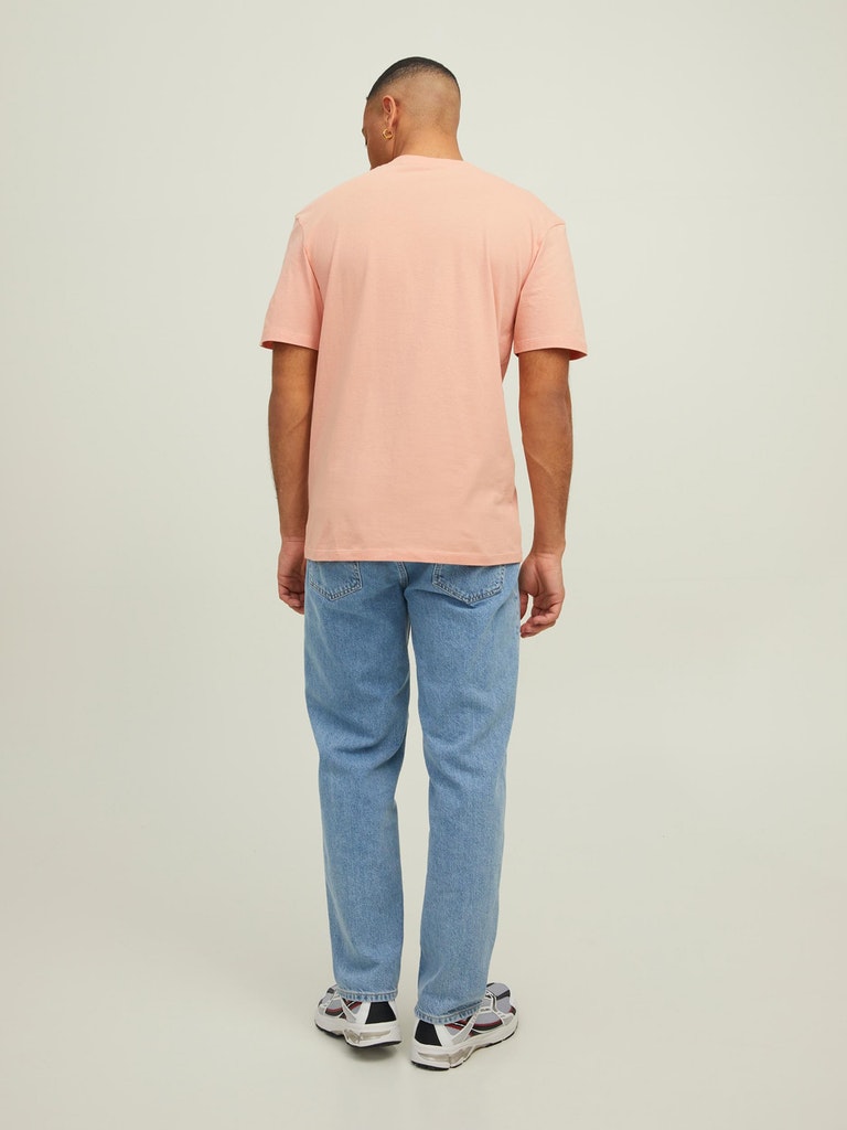 JORFIREFLY PHOTO TEE SS CREW NECK