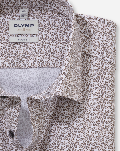OLYMP Level Five