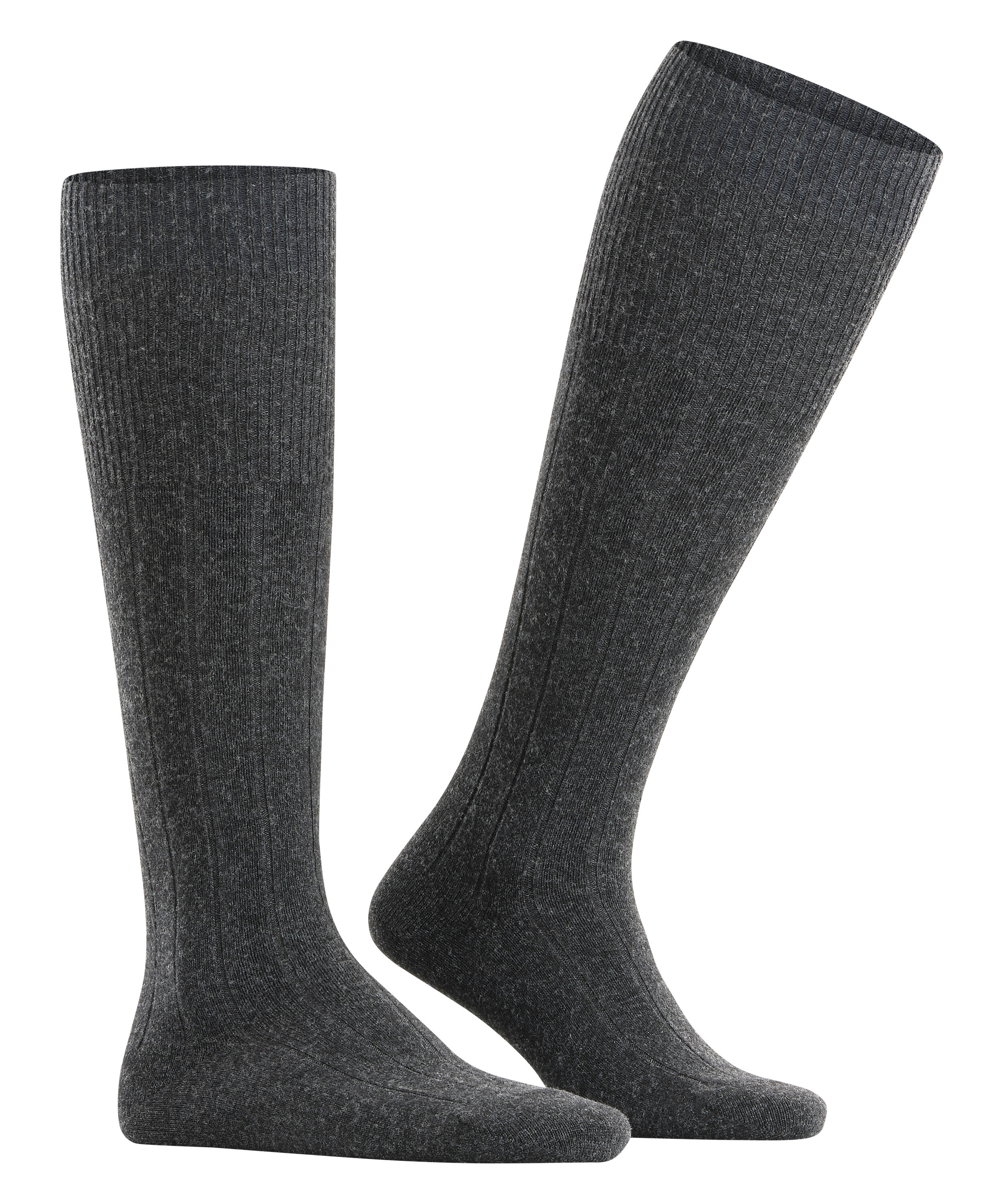 FALKE Lhasa Rib Herren