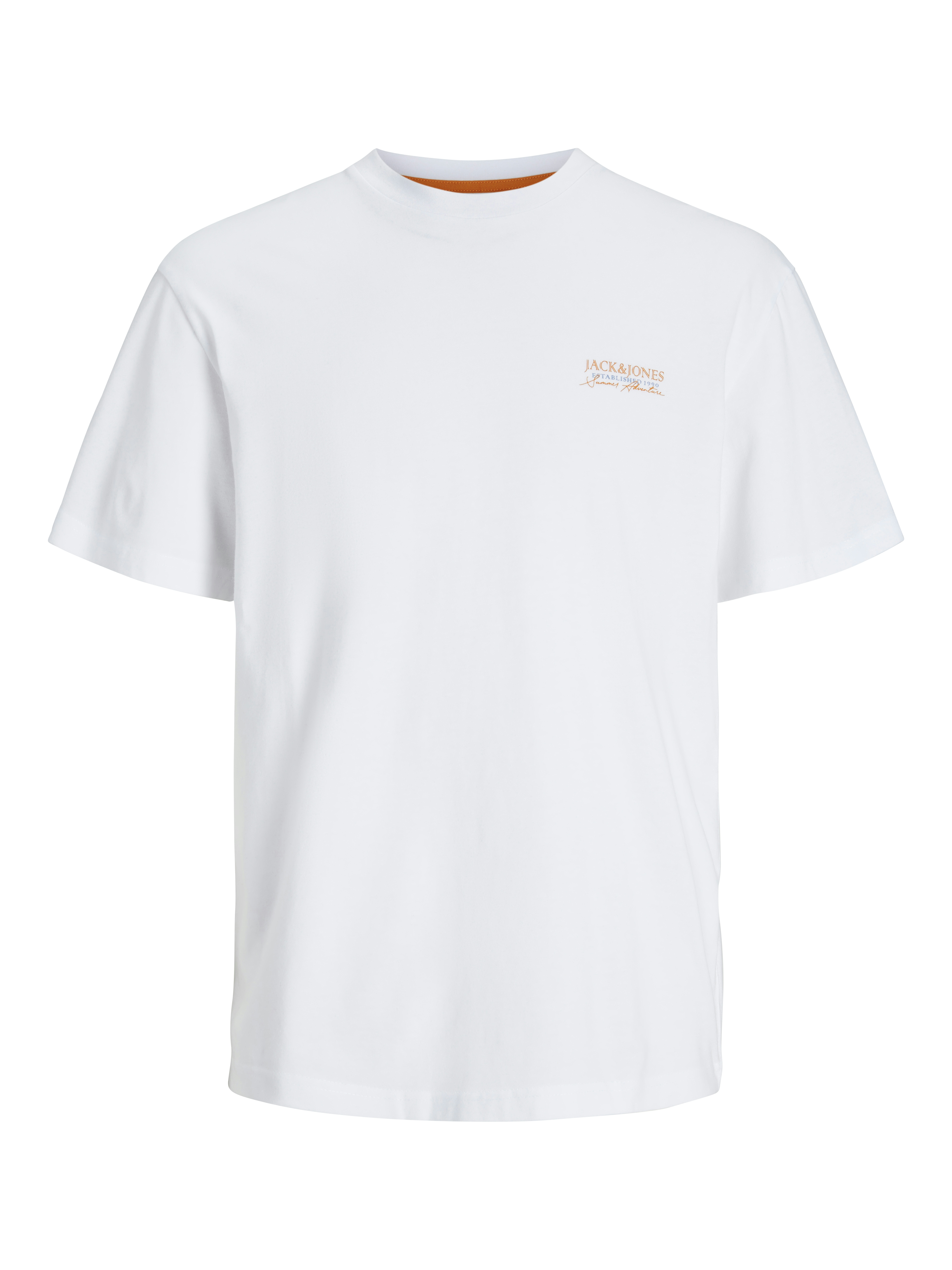 JJSUMMER VIBES TEE SS CREW NECK LN